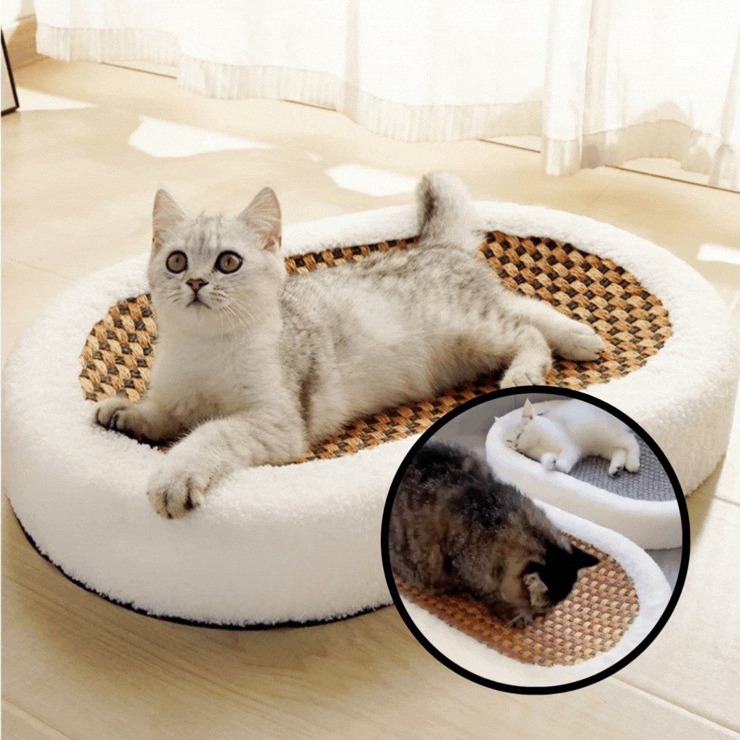 50% discount | Cat Scratch Lounge - Plush cat bed with scratchable surface