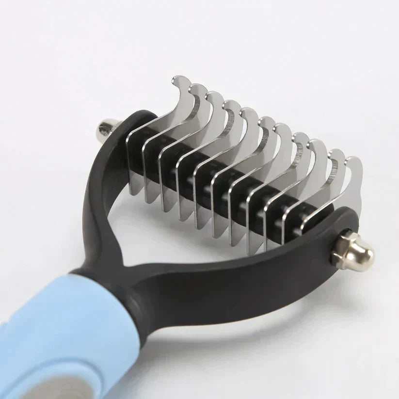 Brush: the ideal accessory for your pet