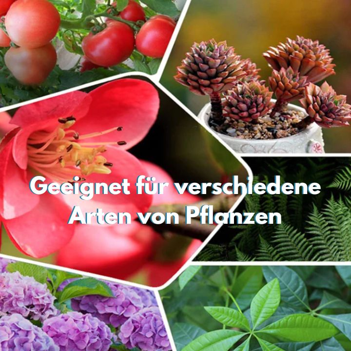 1+1 FREE | GrowBoost - Revive plants environmentally friendly! [Last Day Discount]