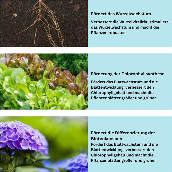 1+1 FREE | GrowBoost - Revive plants environmentally friendly! [Last Day Discount]