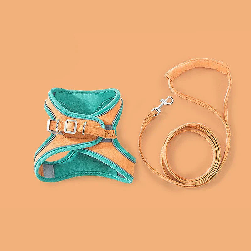 Comfort Harness for Cats - VeloraPaw Style