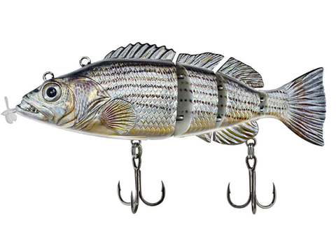 More Bites, Less Waiting – PredatorX Fishing Gear