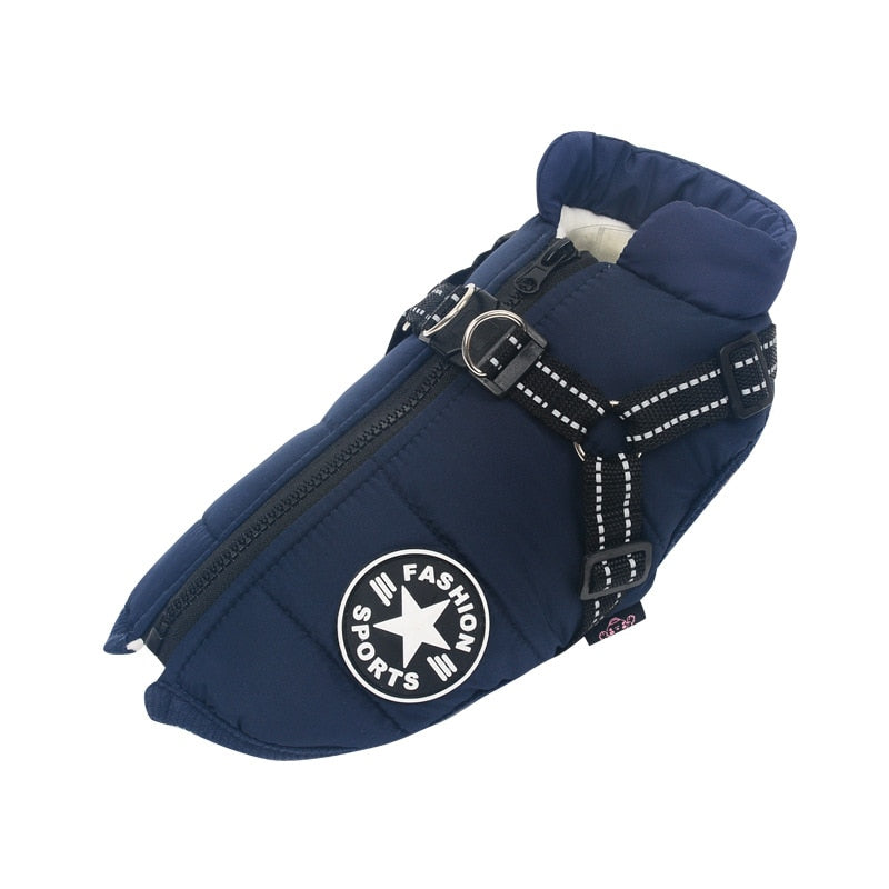 Dog Cold and Wet Protection – WarmPaws
