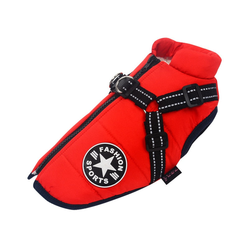 Dog Cold and Wet Protection – WarmPaws