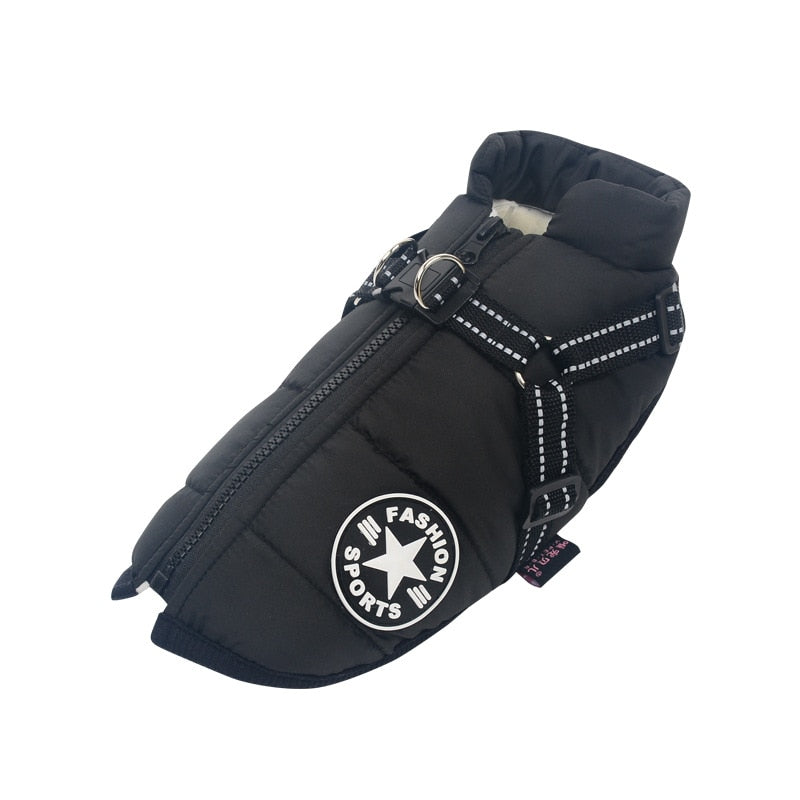 Dog Cold and Wet Protection – WarmPaws