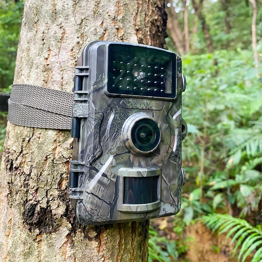 Stealthy Night Vision Game Camera Featuring Motion Detection
