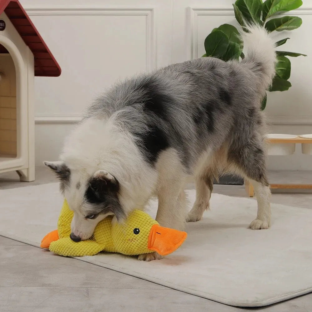 Soft Calming Dog Toy for Comfort and Mental Stimulation