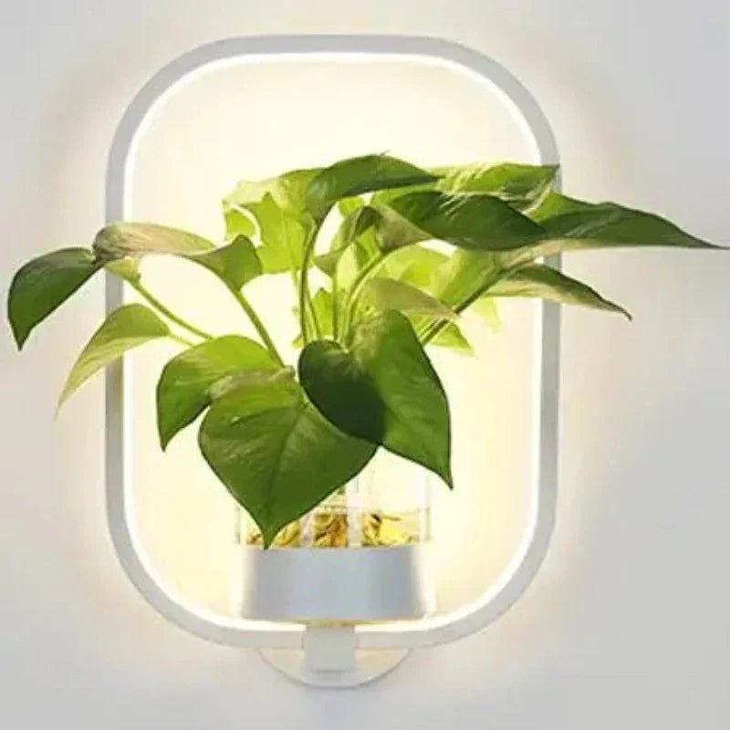 LED Botanical Wall Light with Glass Vase – Oval & Round