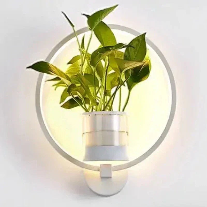 LED Botanical Wall Light with Glass Vase – Oval & Round