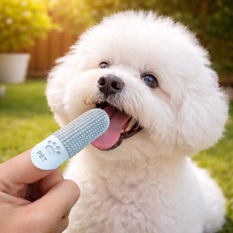 3-Pack Finger Toothbrushes for Dogs and Cats