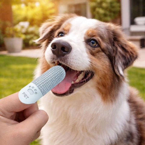 3-Pack Finger Toothbrushes for Dogs and Cats