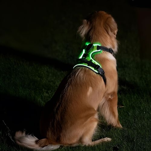 LED Dog Harness for Enhanced Nighttime Visibility