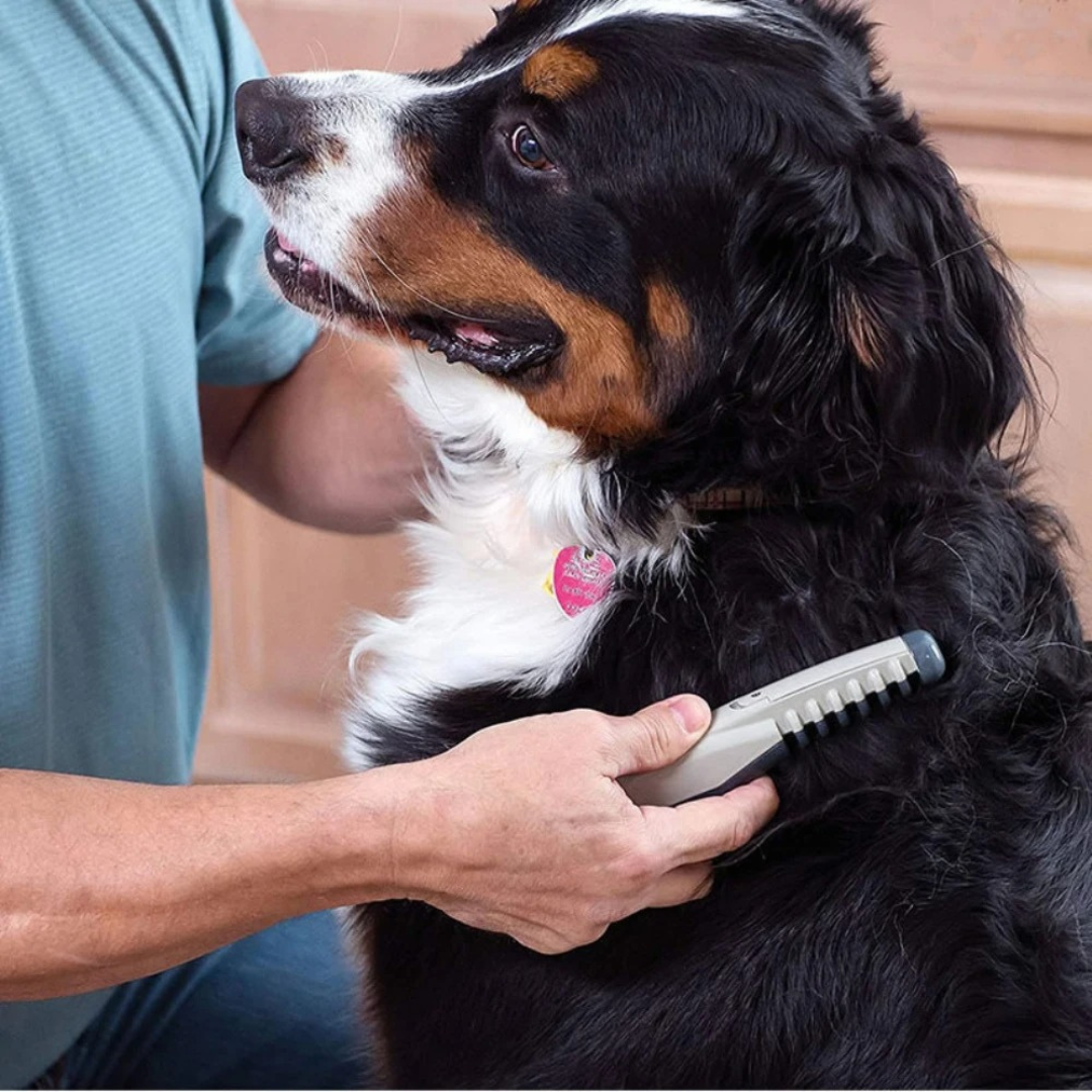 Pet Trimmer for Detangling Fur in Cats and Dogs
