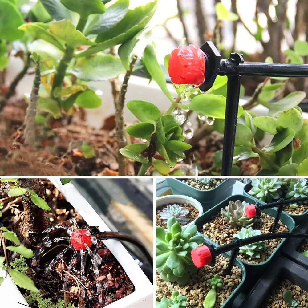 360 Degree Drip Irrigation System – Efficient Water Usage