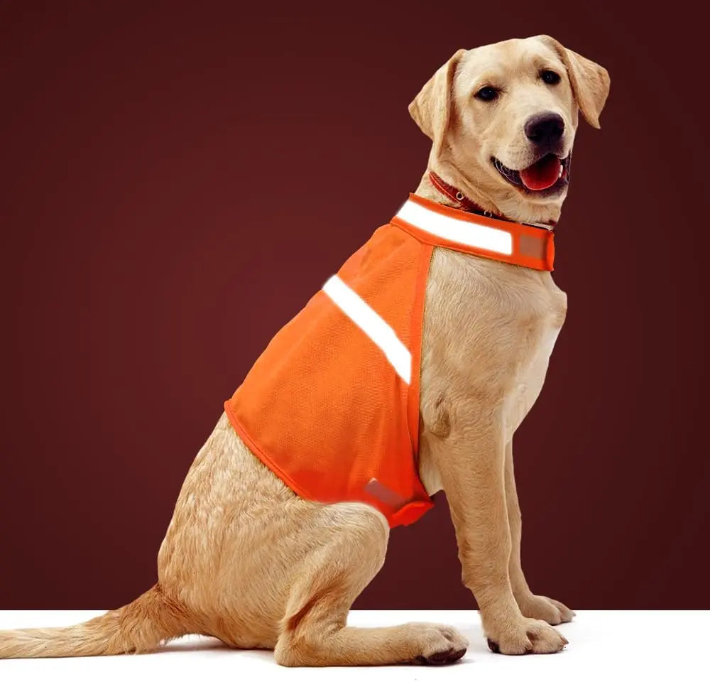 Reflective Safety Vest for Dogs – Make Your Pet Shine at Night