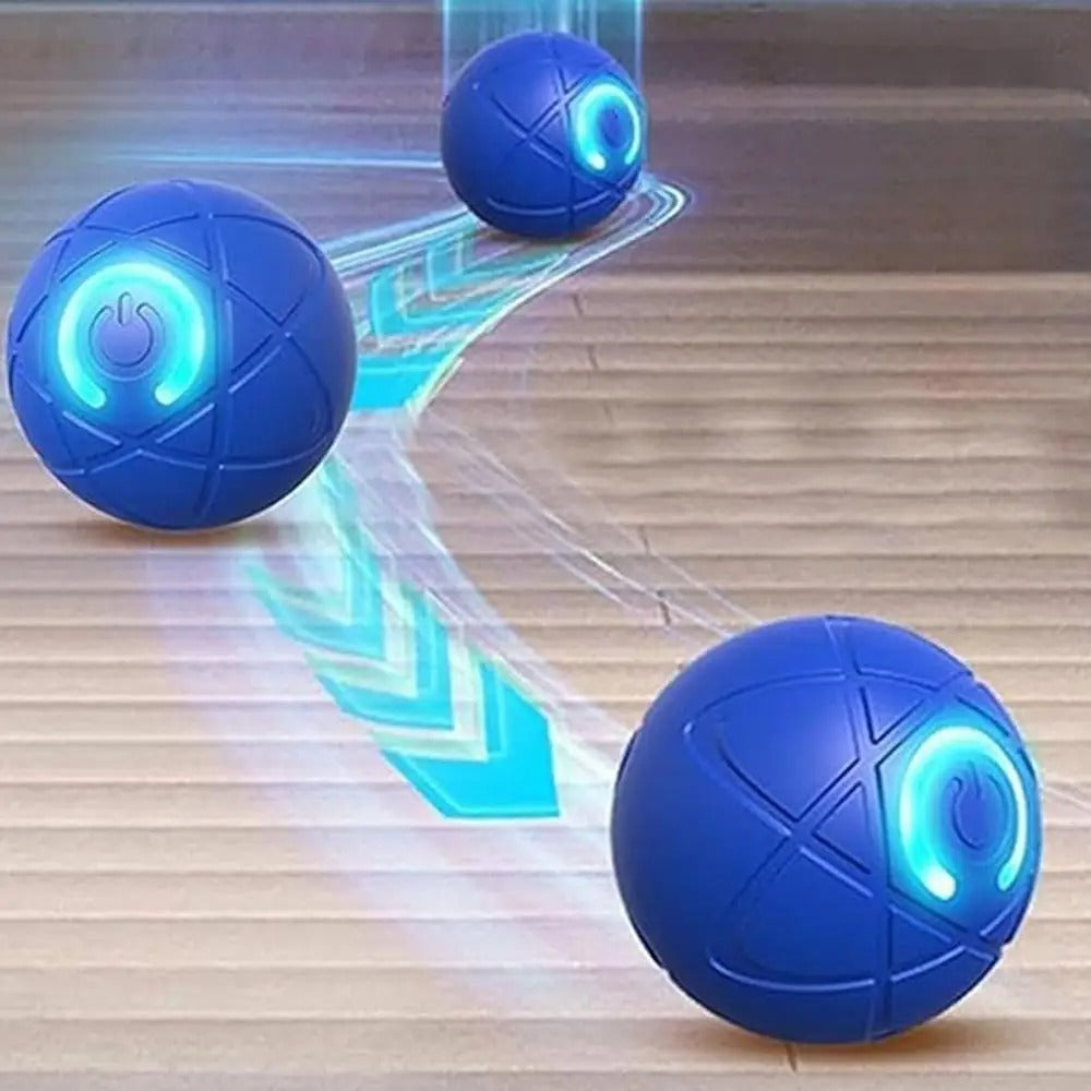 Endless Fun Pet Ball for Dogs and Cats