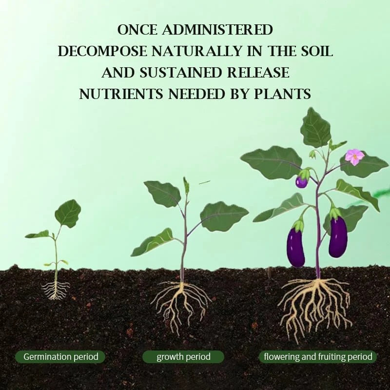 SoilBoost™️ Revive Plants in an Environmentally Friendly Way!