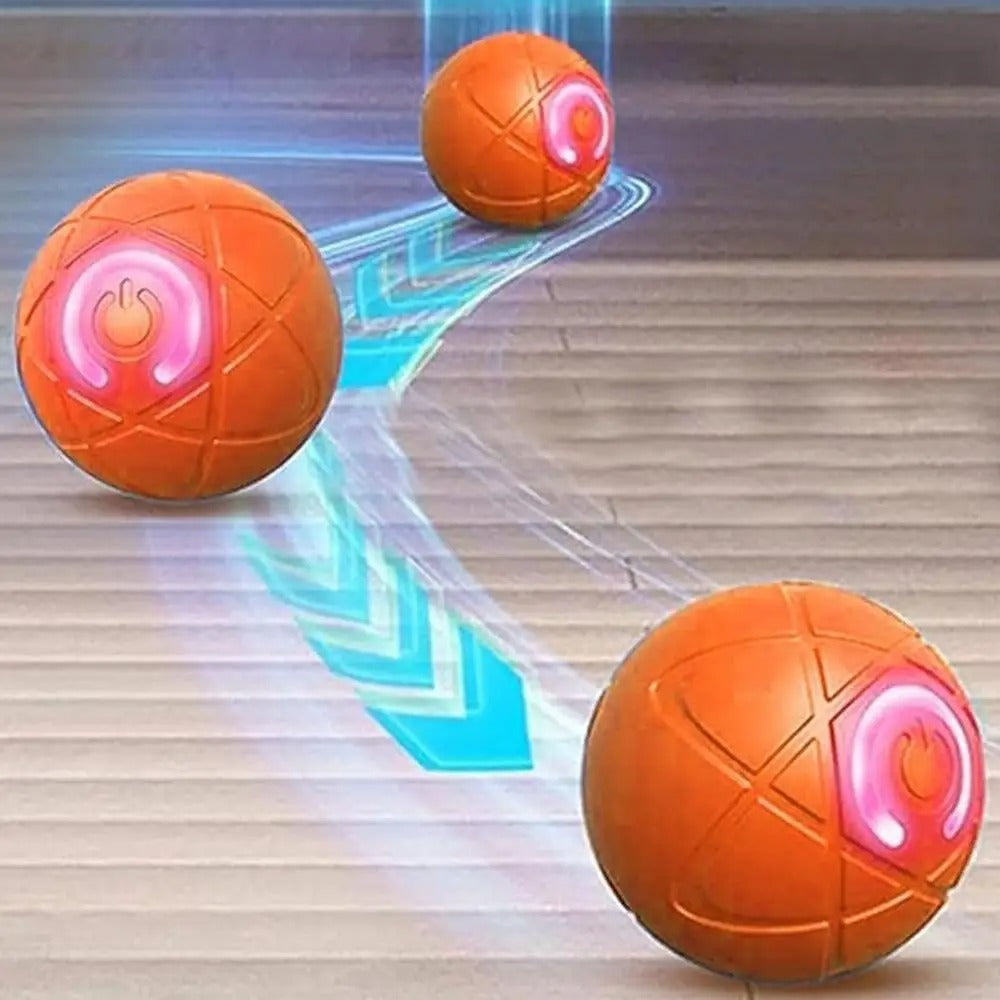 Endless Fun Pet Ball for Dogs and Cats