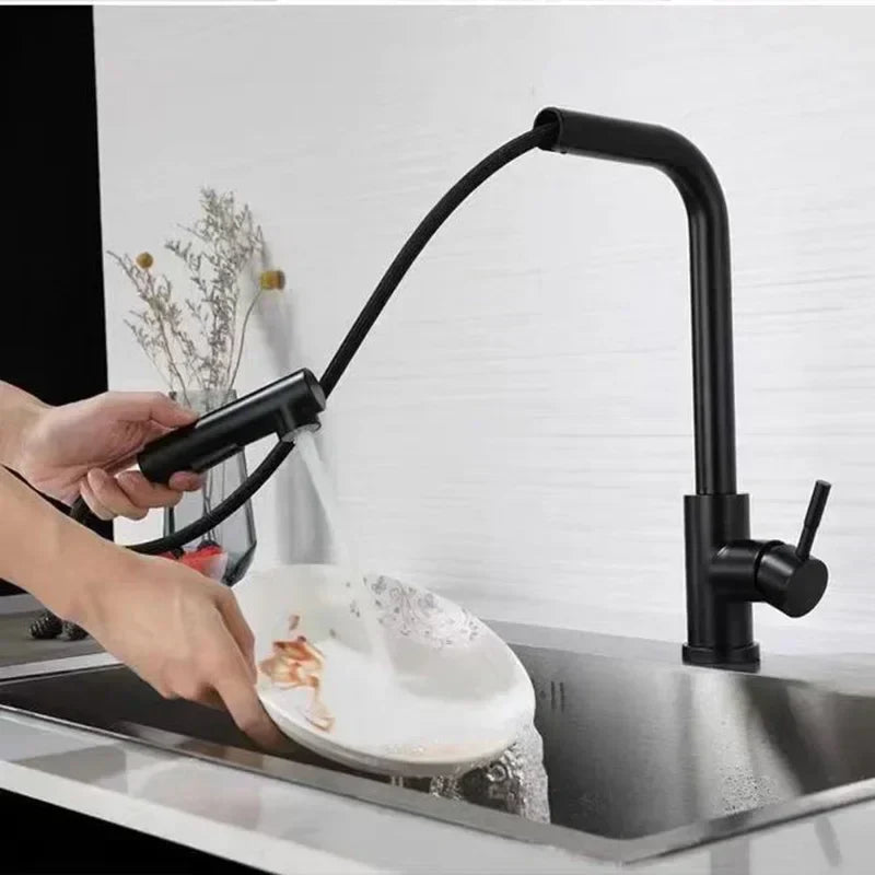 Stainless Steel Kitchen Faucet with Dual Spray Mode - Black Pull-Out