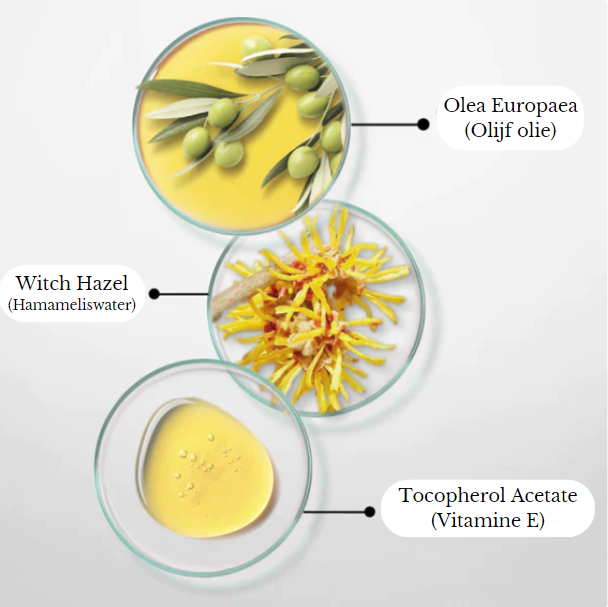 Zenvada™ Magical Pore Remover — Instant Poreless, Matte Perfection | 1+1 Free