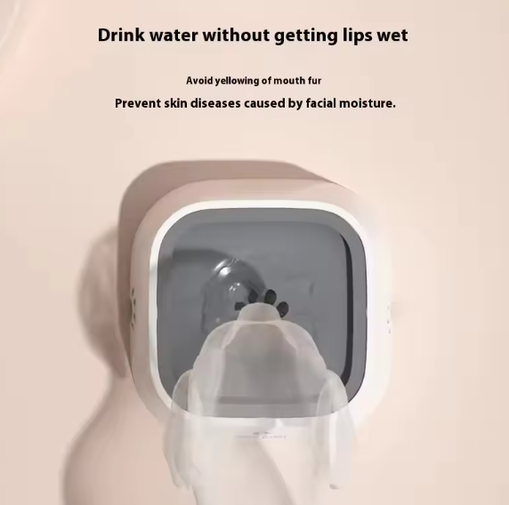 Anti-Spill Water Bowl for Dogs