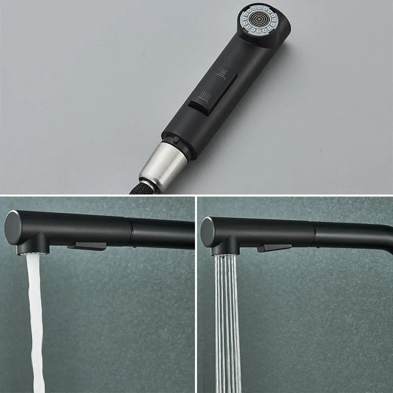 Stainless Steel Kitchen Faucet with Dual Spray Mode - Black Pull-Out