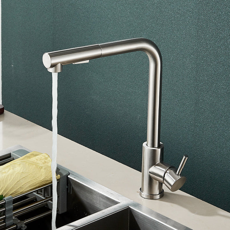 Stainless Steel Kitchen Faucet with Dual Spray Mode - Black Pull-Out