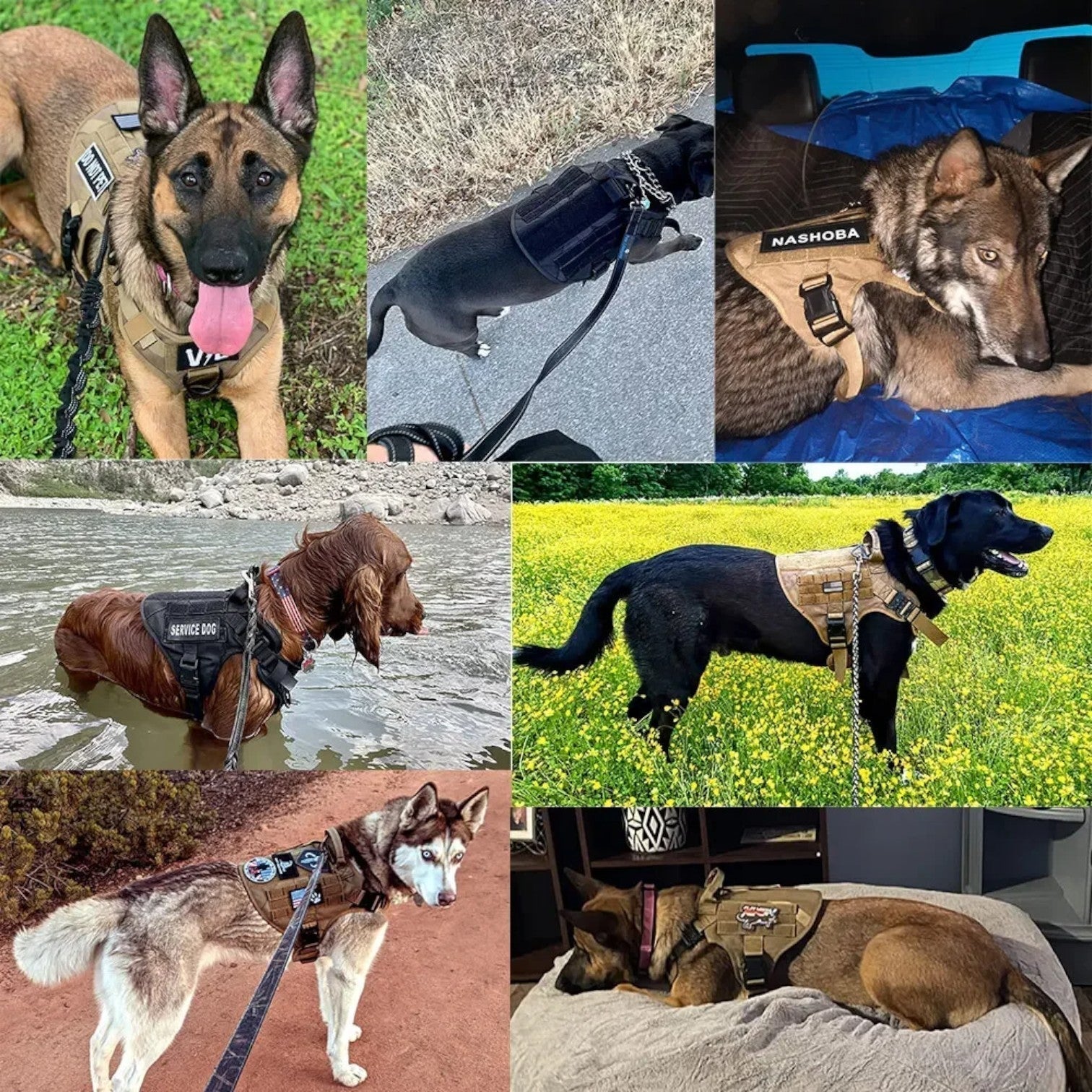 Tactical Training Vest for Dogs with Quick Release Military-Grade Harness