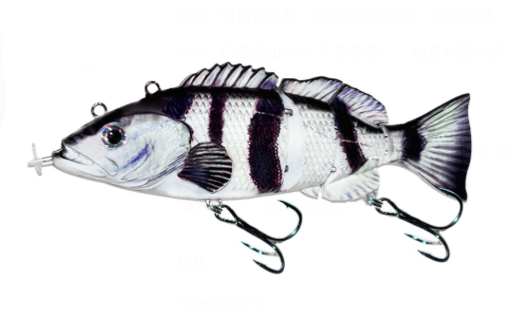 More Bites, Less Waiting – PredatorX Fishing Gear