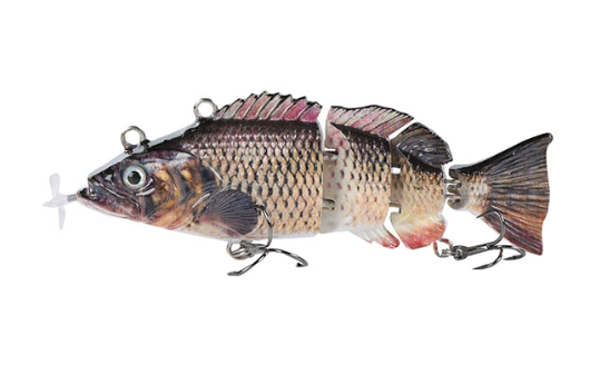 More Bites, Less Waiting – PredatorX Fishing Gear