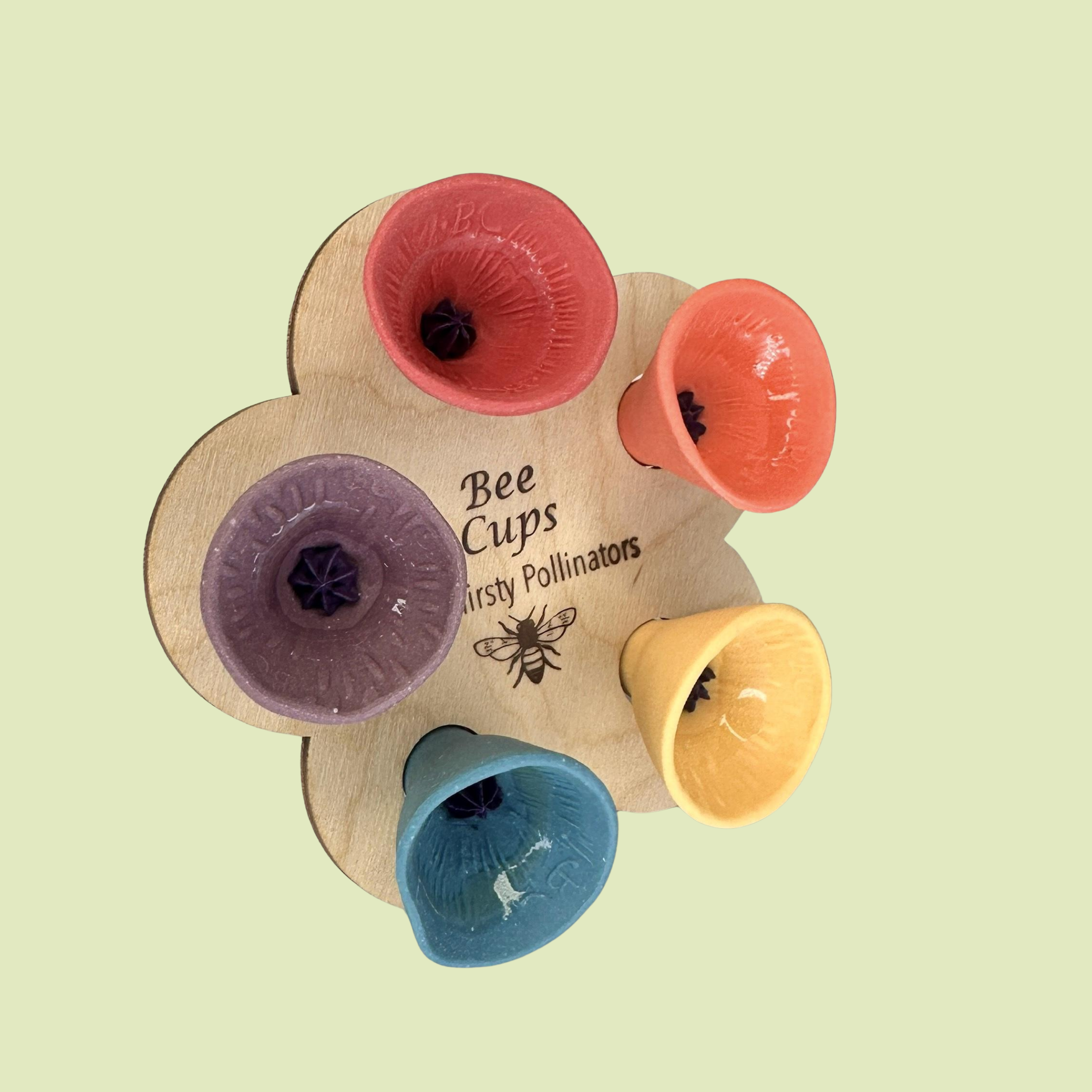 Bee Cups for a Vibrant Garden – Attract Pollinators and Enjoy Mosquito-Free Freshness
