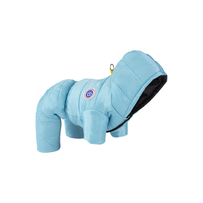Transform Cold Winter Days into Cozy Comfort Moments for Your Dog