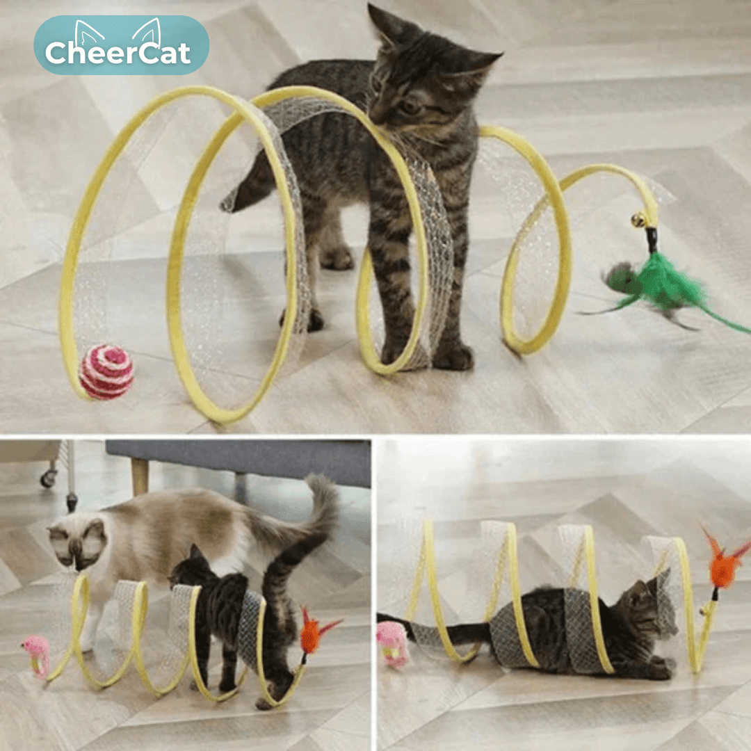 WhiskerWander™ — Ignite Your Cat’s Wild Play and Peaceful Home in Seconds