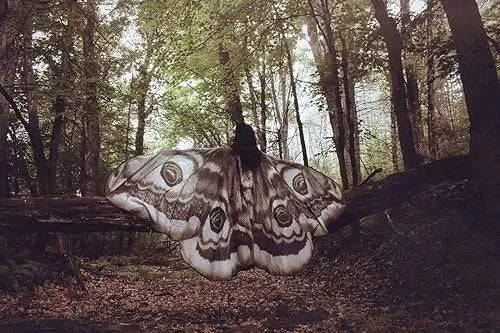 LunaFae™ Moth Wings Cape — Unleash Your Inner Enchantress and Own Every Gaze