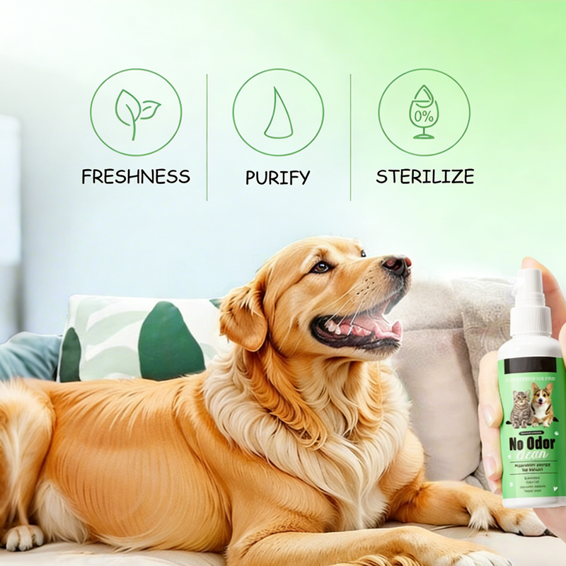 PurePaw™ — Sparkling Fresh Breath and Effortless Smiles for Your Beloved Pet