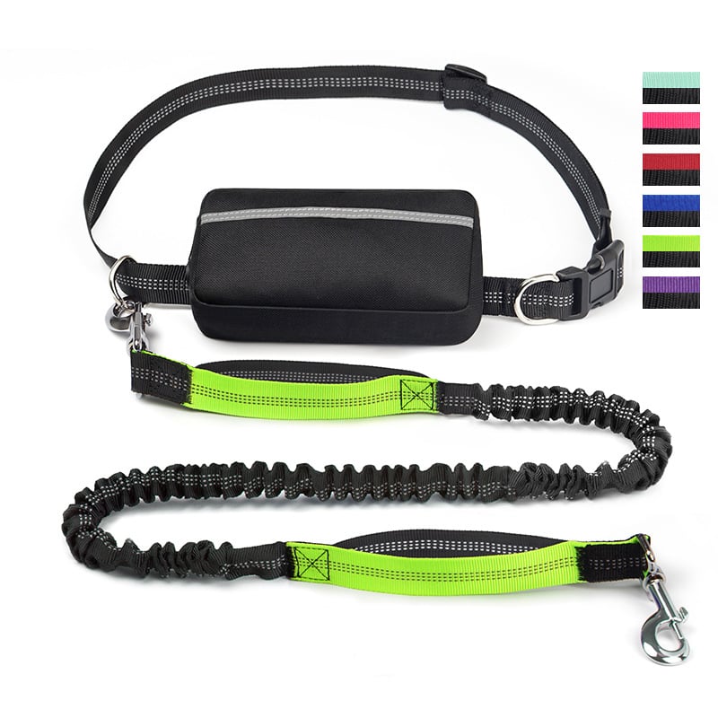 Soft Control Dog Leash for Relaxed Walks Without Jerking
