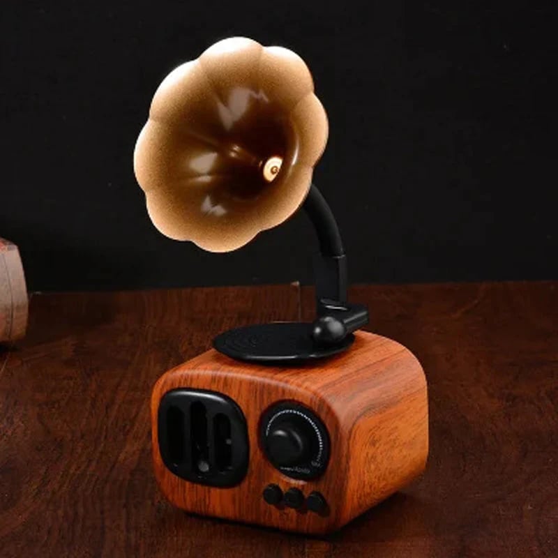 Timeless Elegance and Heartfelt Music Experience