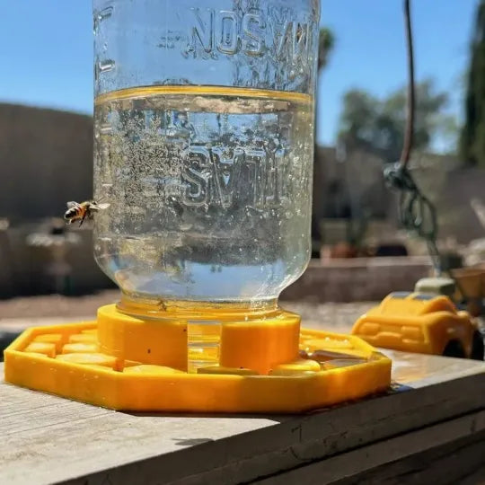 BeeSafeWell Bee Waterer with Safety Features