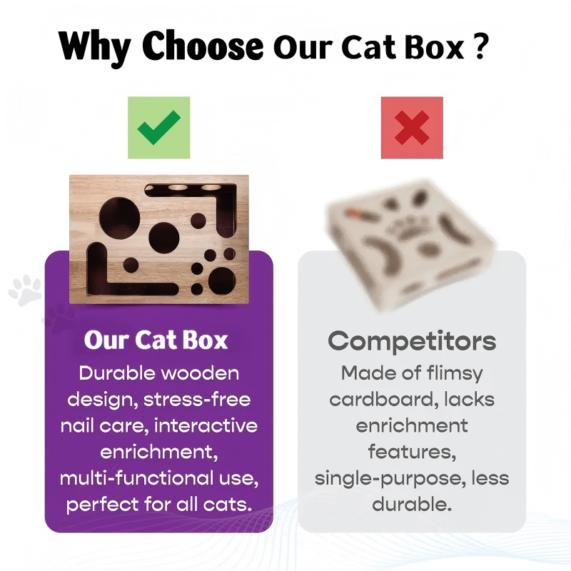 Stress-Free Nail Care for Cats - Fun Grooming Experience