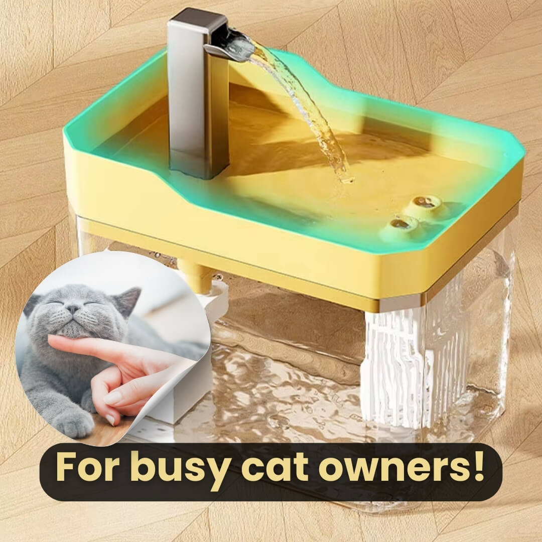 RamiraStream™ — Keep Your Cat Happy, Hydrated, and Bursting with Energy Every Day