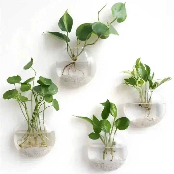 ClearView Glass Wall Planter™ — Elevate Your Space with Effortless Freshness and Modern Calm