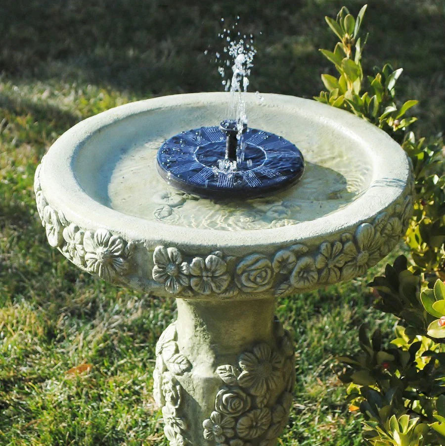 Transform Your Garden into a Lively Oasis of Freshness and Serenity