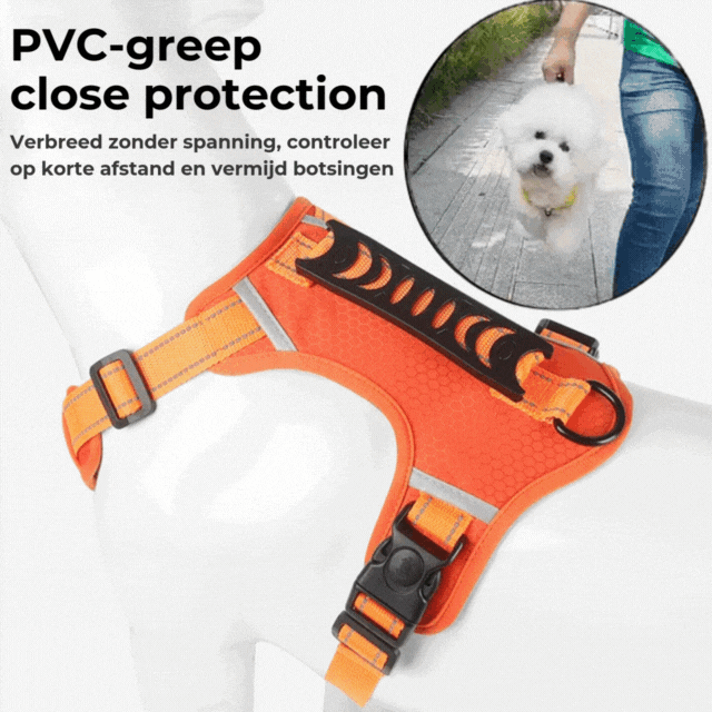 PawEase Harness - Enjoy Relaxed Walks Without Pulling and Maximum Comfort