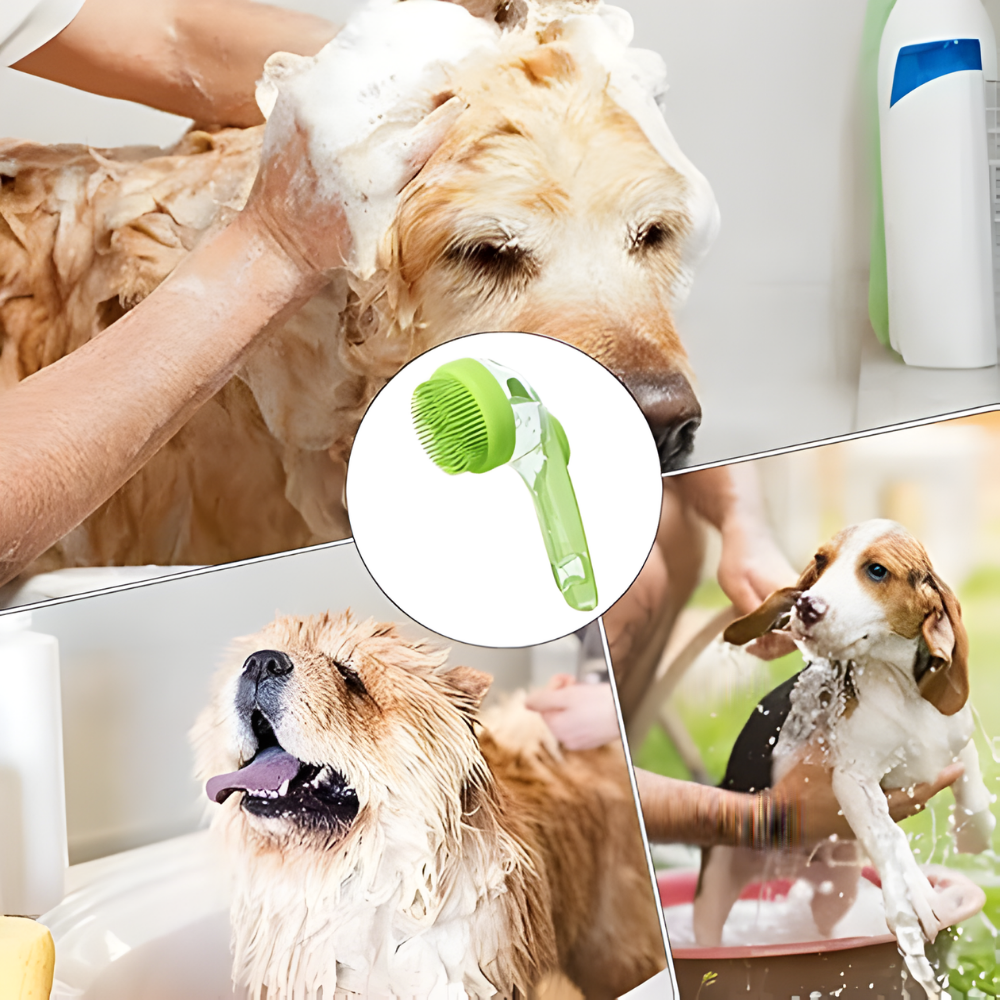 Stress-Free Bathing and Gentle Massage for Happy Pets