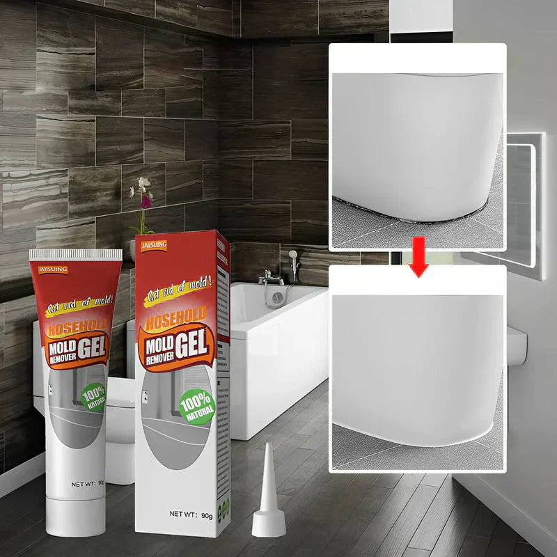 Buy One Get One Free | Mold Removal Solution for a Breathable Home