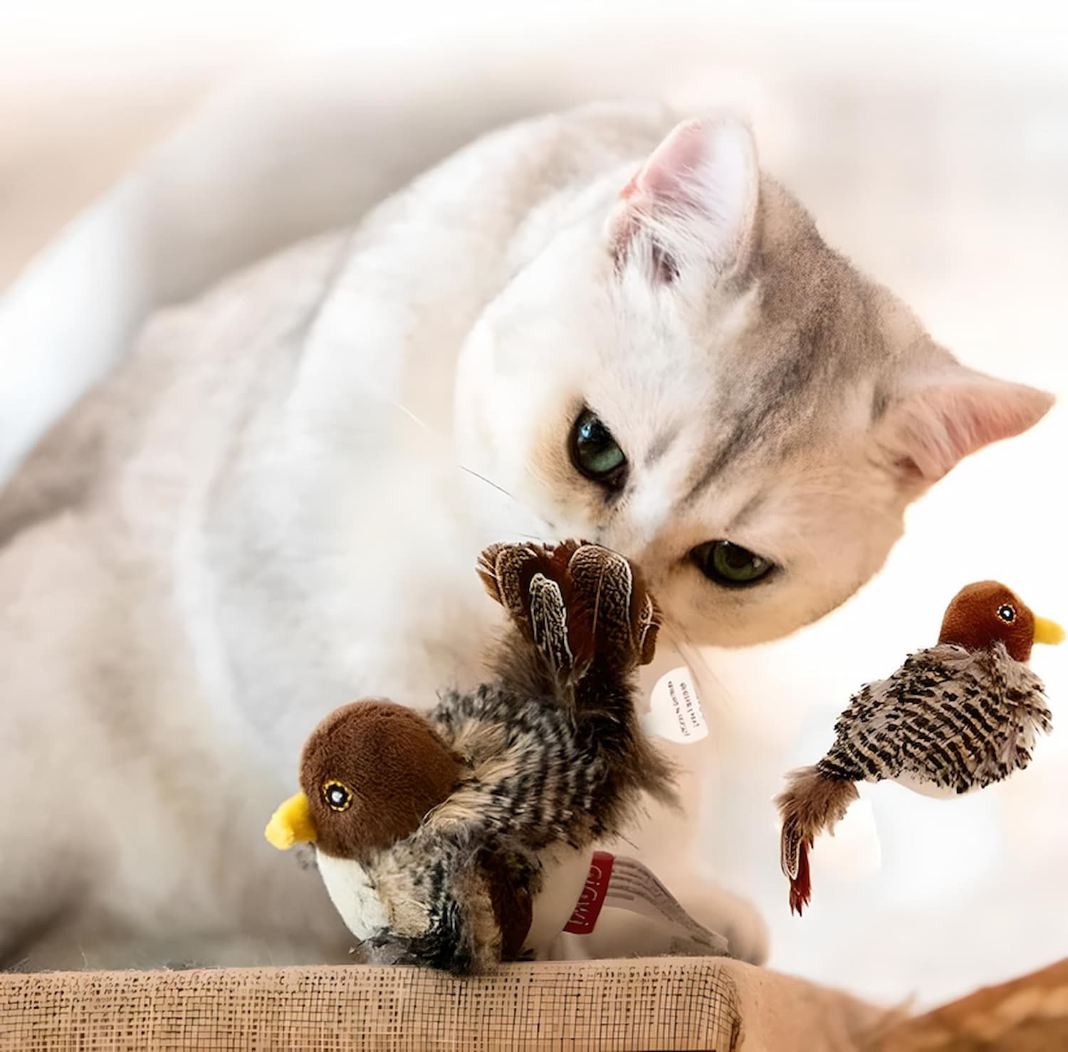 Feline Hunt™ | Awaken your cat's wild instinct!