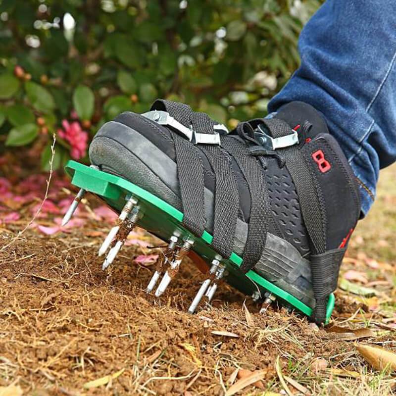 Turf Enhancer – Transform Every Step into a Lush, Green Lawn Secret!
