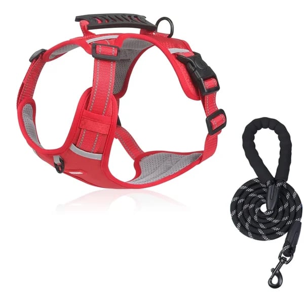 PawEase Harness - Enjoy Relaxed Walks Without Pulling and Maximum Comfort