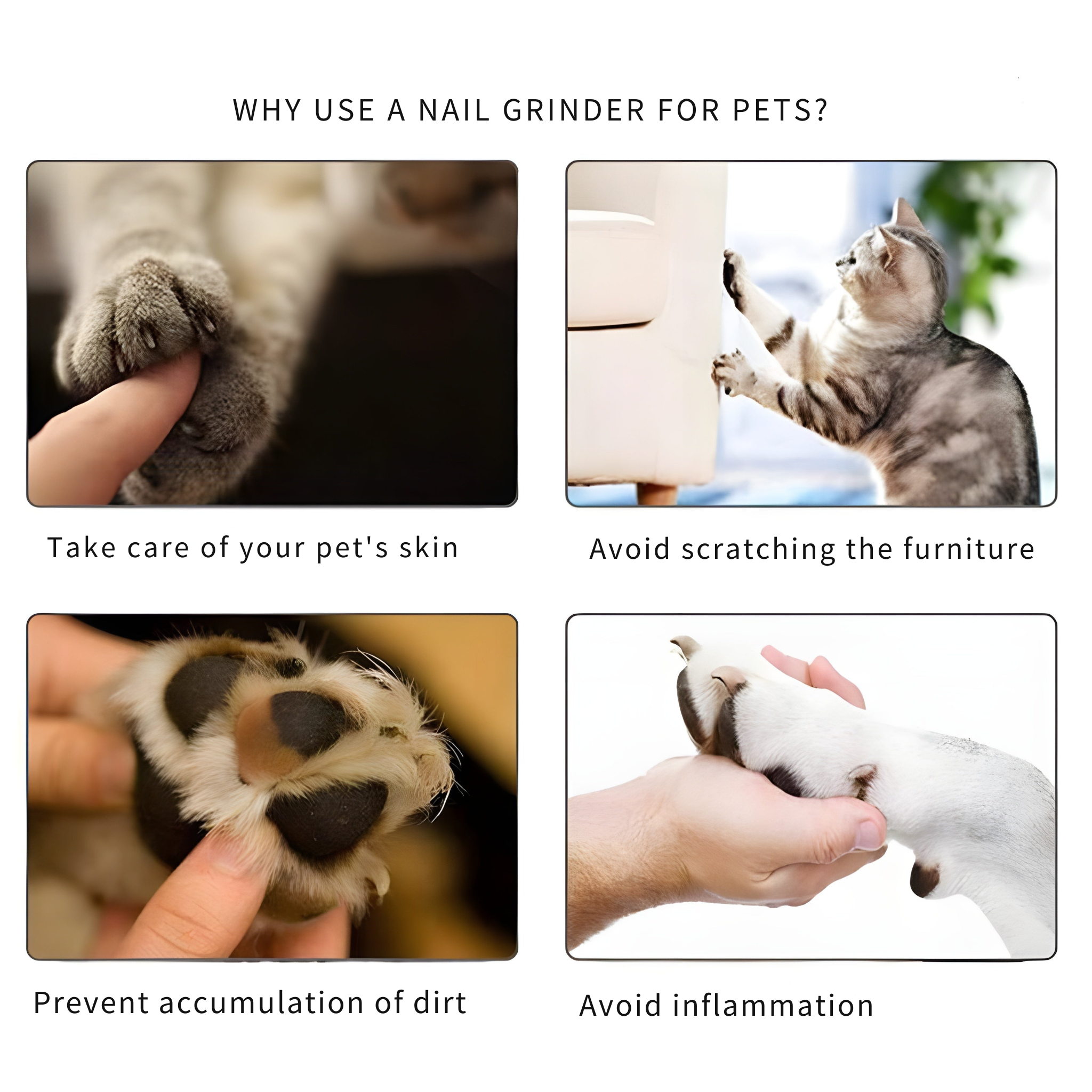 RamoraPaw™ — Calm, Precise Nail Care That Comforts and Protects Your Pet