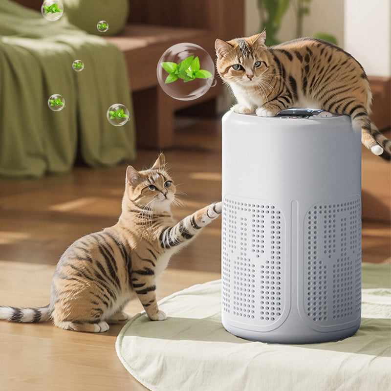 Air Purifier for Clean, Fresh Breathing in Your Spaces